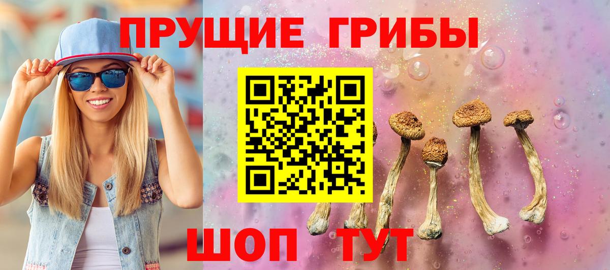 Галлюциногенные грибы прущие грибы  где продают   Малоярославец  Псилоцибиновые грибы Cubensis  Вход с VPN 
